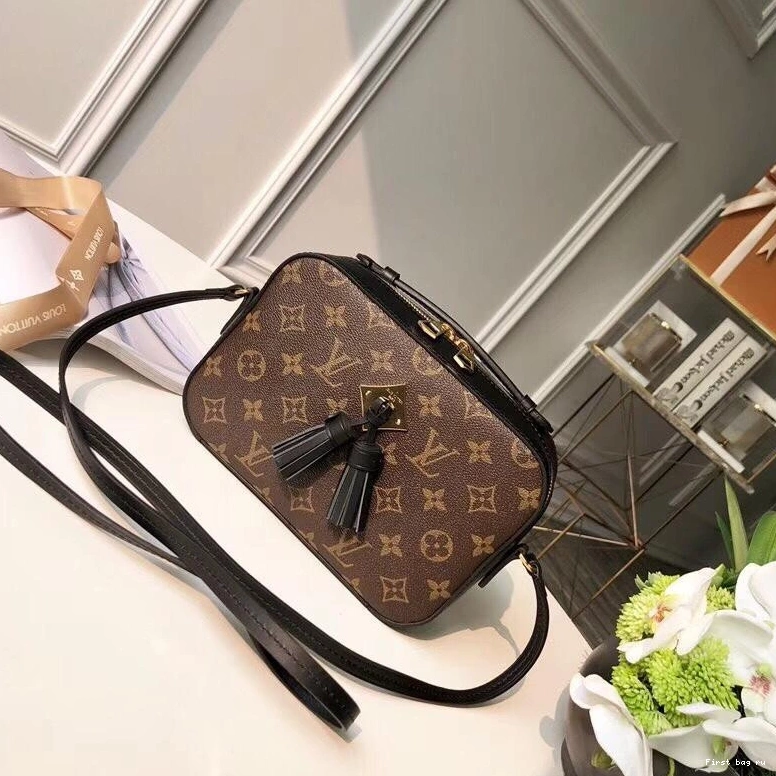 Frstbag ru SAINTONGE VUITTON LOUIS 0816